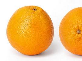 Canarias inmoviliza en Mercalaspalmas 7.760 kilos de naranjas procedentes de Brasil y Argentina