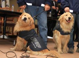 La AFIP capacitará a México y Angola en el adiestramiento de perros antinarcóticos