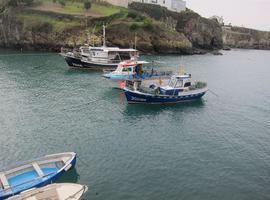 Una app permite analizar los descartes de la flota de Galicia y Asturias