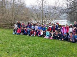 800 escolares aprenden a conservar la naturaleza con la Fundación Oso