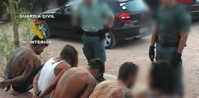 73 detenidos en un nuevo golpe contra las redes dedicadas al tráfico de drogas en Ibiza