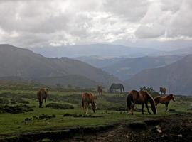 Ecologistas denuncian la prisa del gobierno asturiano por autorizar proyectos mineros
