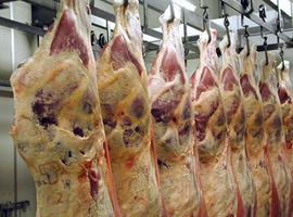 Uruguay accedió a cupo de la Unión Europea de 20.000 toneladas para carne de alto valor 