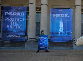 Greenpeace celebra el compromiso de OSPAR para un Área Marina Protegida en el Ártico en 2016    