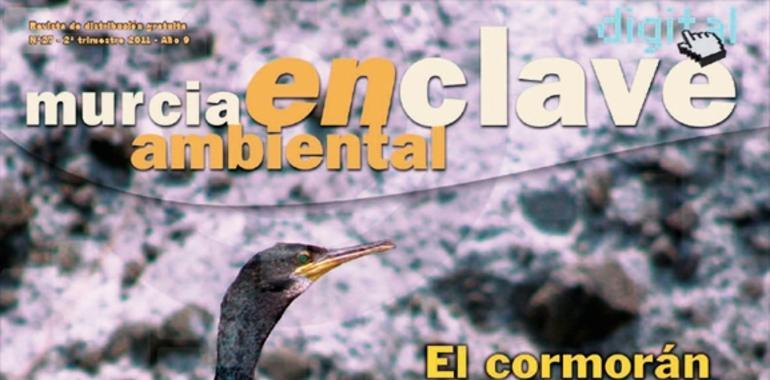 La revista Murcia enclave ambiental ahorra 13 toneladas de papel desde que solo se edita en formato electrónico 