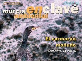 La revista \Murcia enclave ambiental\ ahorra 13 toneladas de papel desde que solo se edita en formato electrónico 