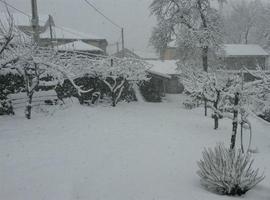 Riesgo importante de nevadas para hoy en Asturias