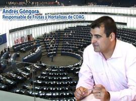 COAG defiende en el PE fruta y hortaliza españolas frente al acuerdo UE-Marruecos