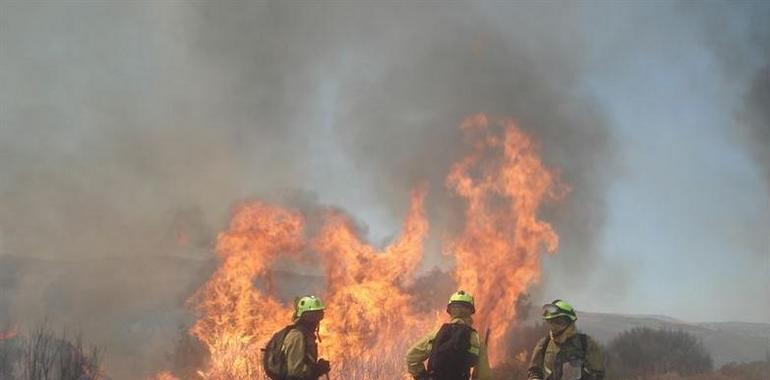 Los parques naturales de Las Ubiñas-La Mesa y Ponga concluyen labores de prevención de incendios