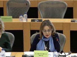 IU pide a Bruselas auditoría sobre las ayudas al carbón 