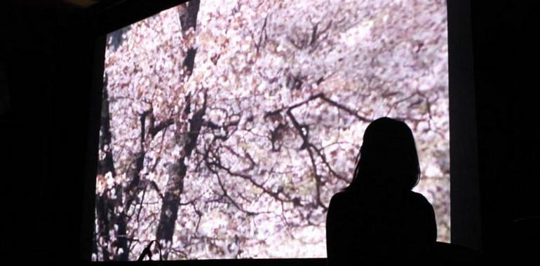 El clásico japonés Bajo los cerezos en flor de Masahiro Shinoda llega a Laboral Cineteca