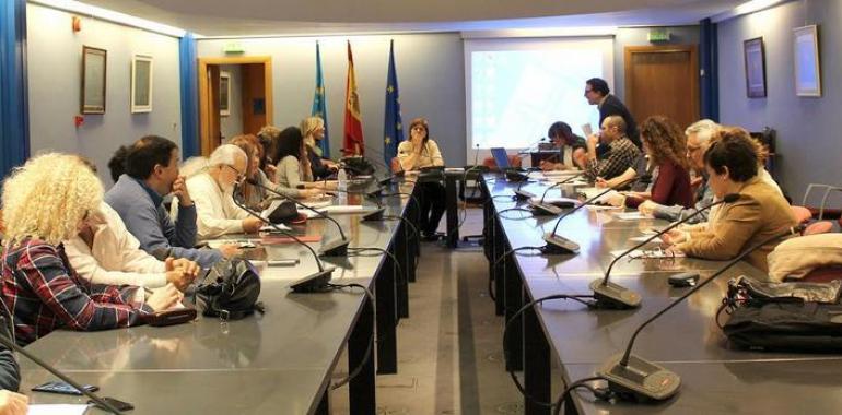 58,4 millones a plazas concertadas para infancia y discapacidad en Asturias