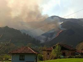 Ecologistas relacionan los incendios forestales con el pastoreo