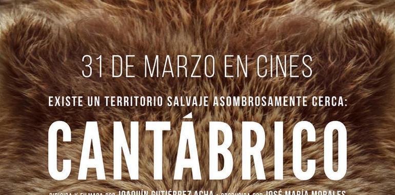  Asturias, protagonista del documental Cantábrico. Los dominios del oso pardo 