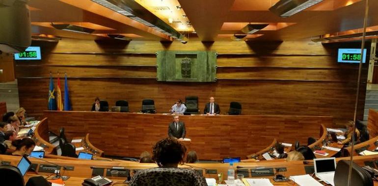 El Parlamento acuerda incluir la Podología en el Sistema de Salud de Asturias