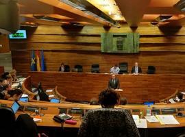 El Parlamento acuerda incluir la Podología en el Sistema de Salud de Asturias
