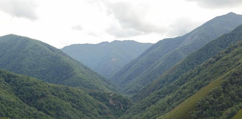 Asturias destina 7,2 millones a financiar inversiones locales y potenciar el desarrollo forestal