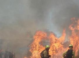 La seca y el viento activan 20 incendios forestales en Asturias
