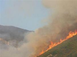  26 incendios forestales activos en 18 concejos de Asturias