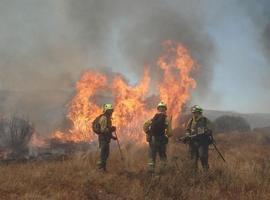 Asturias registra hoy 21 incendios forestales, 13 de ellos activos