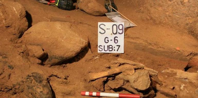 Investigadores asturianos rescatan ADN de Neandertales y Denisovanos