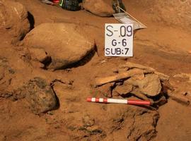 Investigadores asturianos rescatan ADN de Neandertales y Denisovanos
