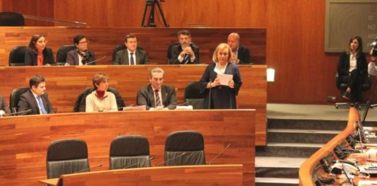 El PP reprocha a Javier Fernández su dedicación al PSOE