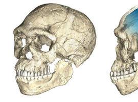 La antigüedad de Homo sapiens aumenta a más de 300.000 años