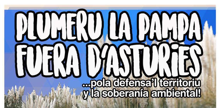 Campaña Plumeru La Pampa fuera dAsturies