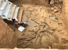 Hallados restos de 16 caballos sacrificados en el santuario tartésico del Turuñuelo (Badajoz)