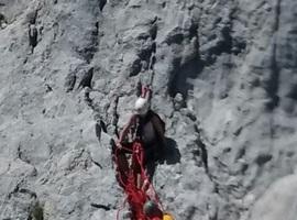 Rescatado un montañero herido tras caer 180 metros al este del Uriellu 