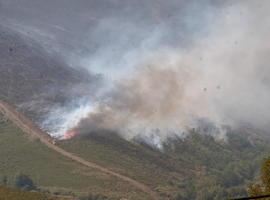 Más de 300 efectivos trabajan en la extinción del incendio forestal de Losadilla
