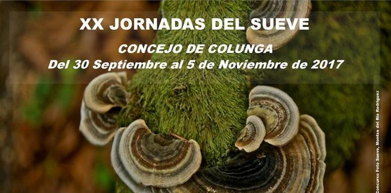 Colunga organiza rutas, charlas y cursos para sus XX Jornadas del Sueve