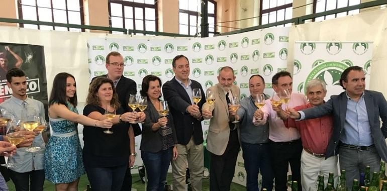 Año histórico para la DOP Sidra de Asturias con más variedades de manzana y lagares
