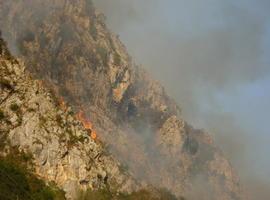El tiempo permite bajar a 11 incendios forestales en Asturias, 9 controlados y 2 activos