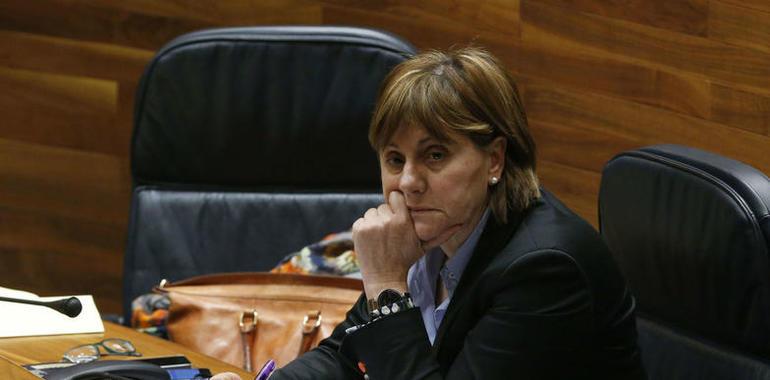 Asturias reclama una  financiación para la dependencia equilibrada entre Estado y comunidades  