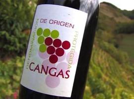 FORO pide toda la ayuda pública para el vino de Cangas del Narcea