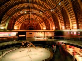 Semana de la Ciencia en el Museo del Jurásico de Asturias