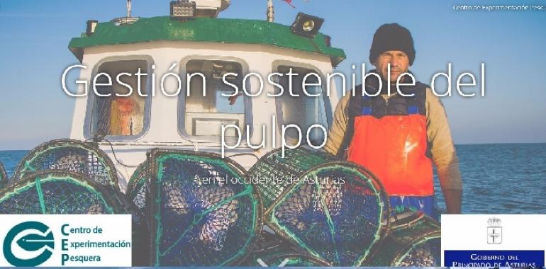 El pulpu asturianu, único en el mundo con eco-etiqueta MSC, estrena web