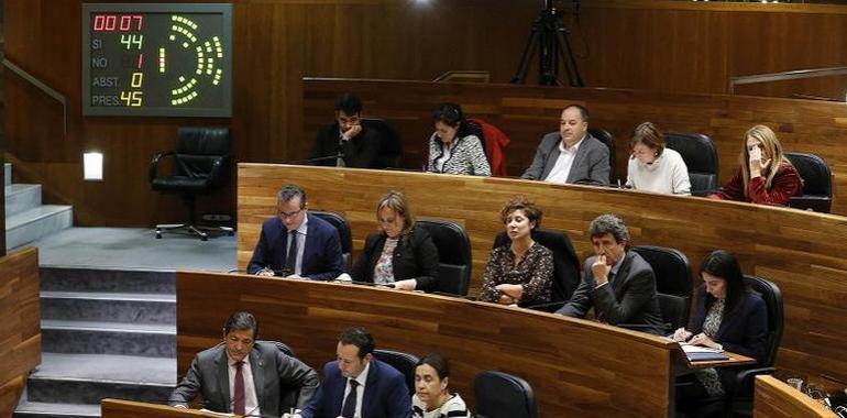 El Parlamento rechaza la moción del PP contra el asturiano