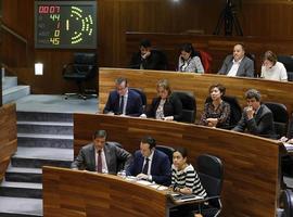 El Parlamento rechaza la moción del PP contra el asturiano