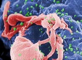Las relaciones sin protección son la principal vía de transmisión del VIH en Asturias