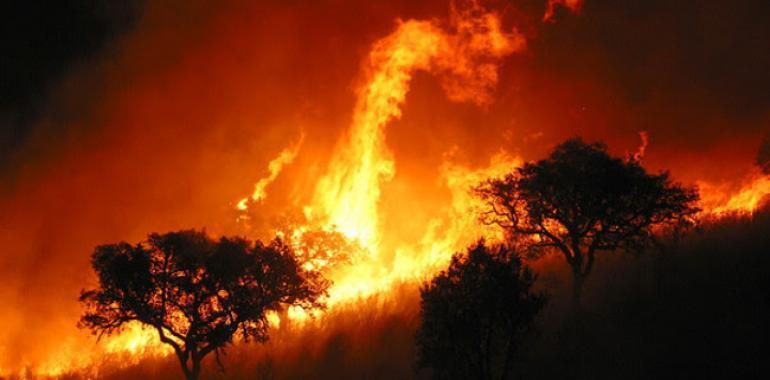 149.289 euros para campaña de concienciación contra los incendios forestales