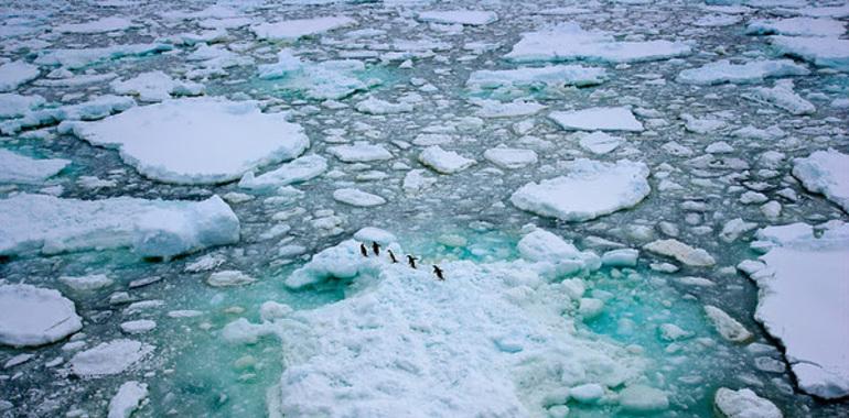 Histórica expedición de Greenpeace reclamará un Santuario Antártico