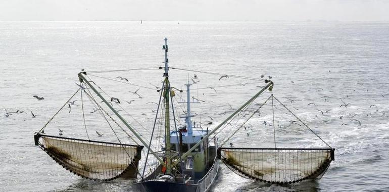 El Parlamento Europeo dice no a  electrocutar los fondos para pescar