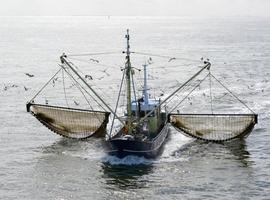 El Parlamento Europeo dice no a  electrocutar los fondos para pescar