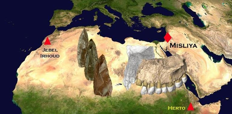 Hallados en Israel los primeros humanos modernos fuera de África 