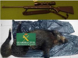 Detenidos por matar dos jabalies en el Parque Natural del Narcea-Degaña e Ibias