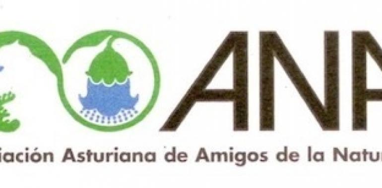 A.N.A. propone vías alternativas al Naranco para el acceso Norte a Oviedo