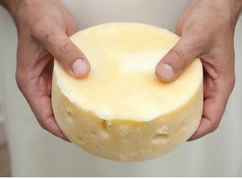  600 quesos españoles a examen en el 9 GourmetQuesos 